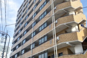 ライオンズマンション旗の台801号室｜旗の台駅徒歩3分・6,290万円・46.95㎡・2LDK｜売買マンション
