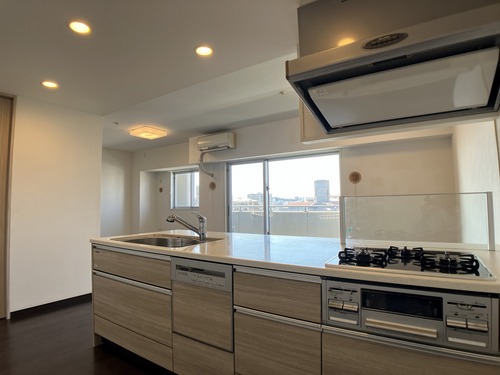 ライオンズ城岳南 802号室｜壺川駅徒歩9分｜賃料17万円｜2LDK｜70.64㎡