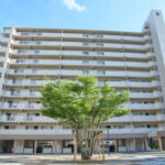 新蓮根団地 第14号棟803号室|蓮根駅徒歩5分・6,490万円・83.28㎡の3LDK|売買マンション