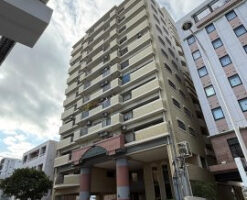ライオンズタワー安里507号室｜那覇市安里2丁目・4,190万円・3LDK｜売買マンション