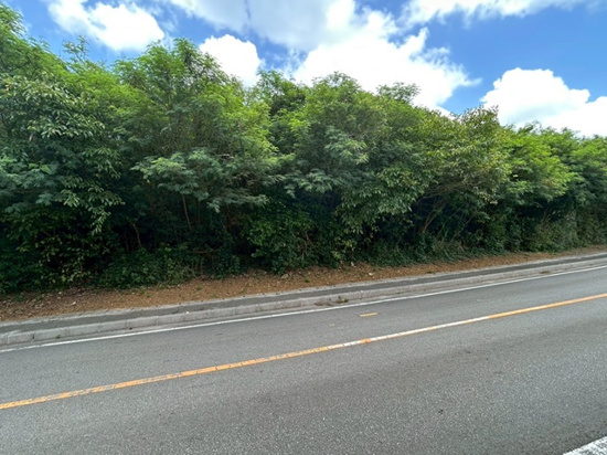本部町備瀬1736-1｜1,480万円・土地329㎡の県道沿い売地｜売買物件