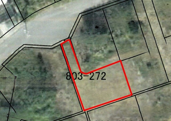 今帰仁村字兼次803-272｜299万円・土地145㎡・建築条件なし｜売地